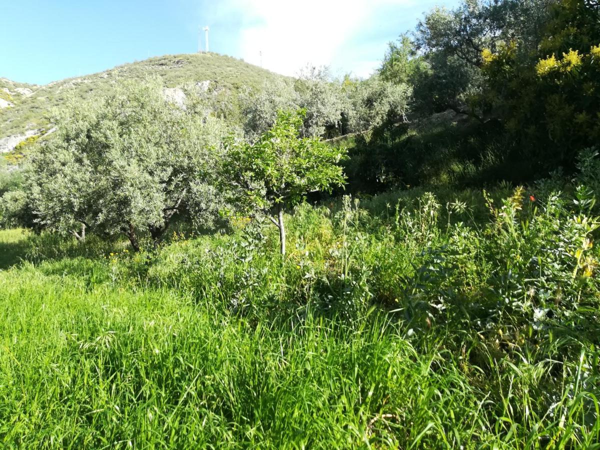 Bancal De Los Perez Carataunas Εξωτερικό φωτογραφία
