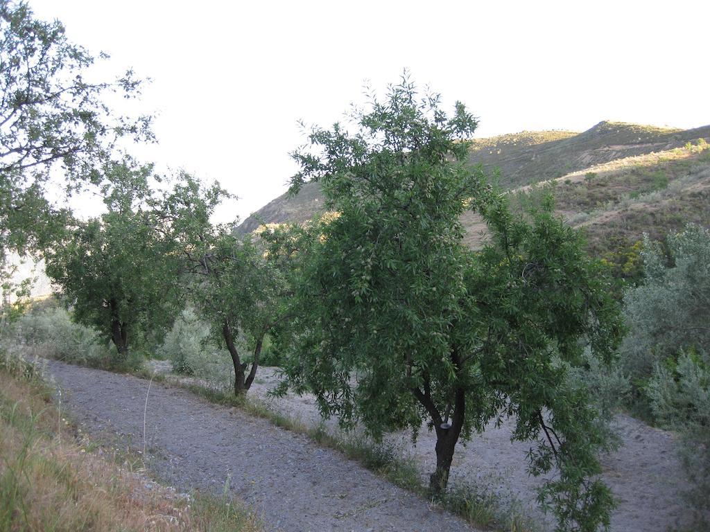 Bancal De Los Perez Carataunas Εξωτερικό φωτογραφία
