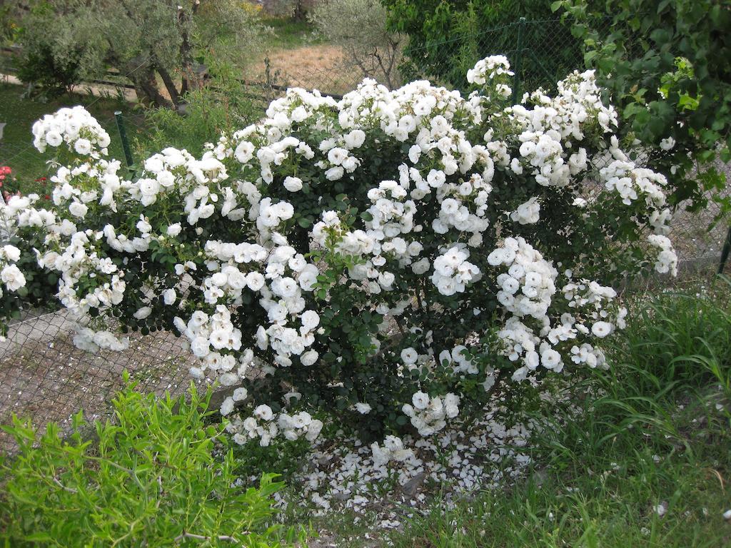 Bancal De Los Perez Carataunas Εξωτερικό φωτογραφία