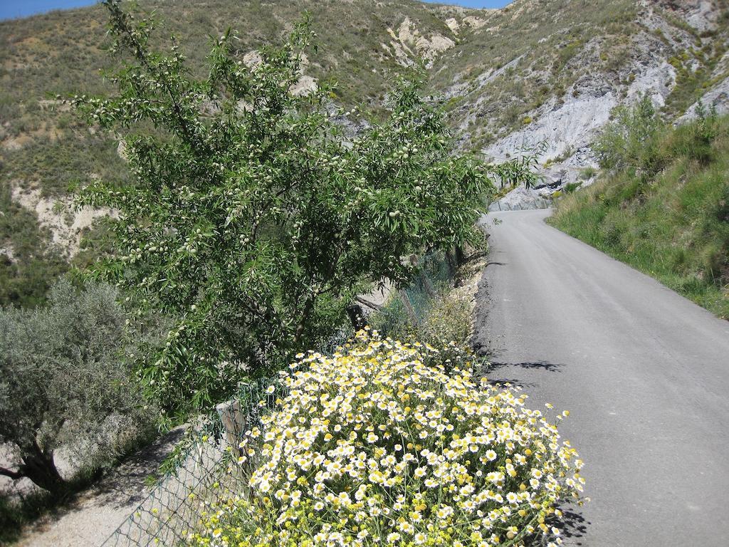 Bancal De Los Perez Carataunas Εξωτερικό φωτογραφία