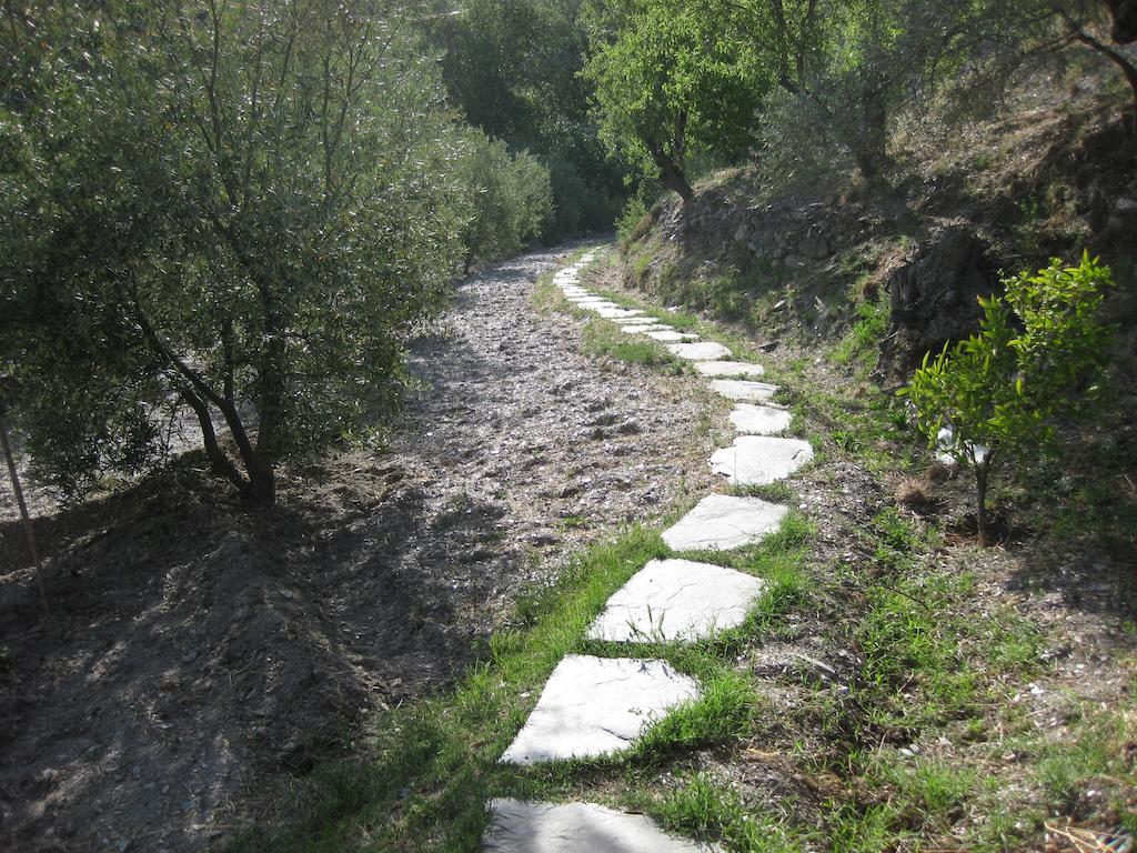 Bancal De Los Perez Carataunas Εξωτερικό φωτογραφία