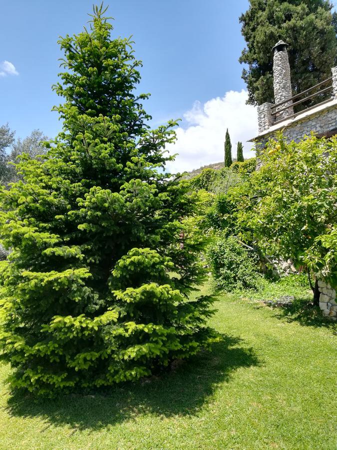 Bancal De Los Perez Carataunas Εξωτερικό φωτογραφία