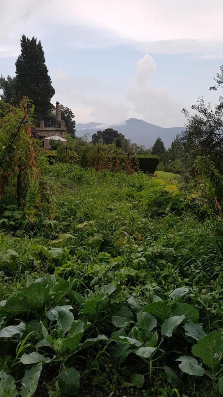 Bancal De Los Perez Carataunas Εξωτερικό φωτογραφία